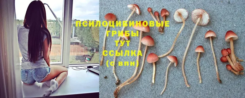 Псилоцибиновые грибы Magic Shrooms  MEGA сайт  Борисоглебск 